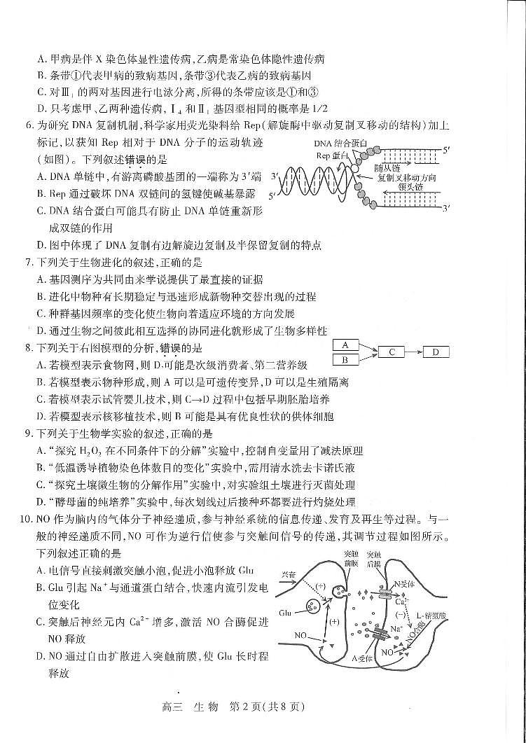 2023-2024学年江苏省苏州市高三上学期期初调研测试（9月）生物 PDF版02