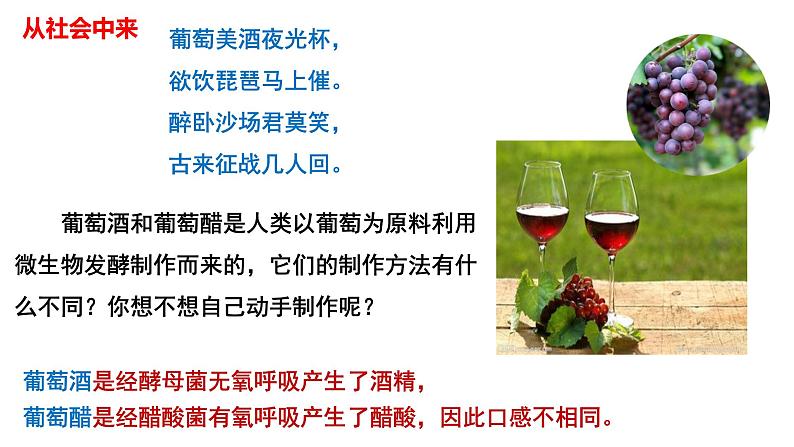 1.1传统发酵技术的应用(1)  课件人教版高中生物选修三ppt第4页