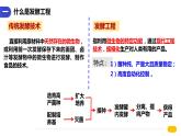1.3发酵工程及其应用  课件人教版高中生物选修三ppt