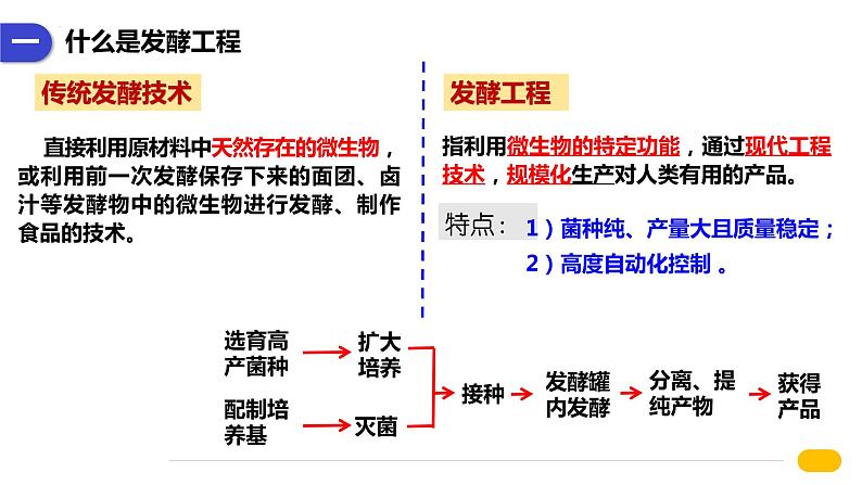 1.3发酵工程及其应用  课件人教版高中生物选修三ppt05