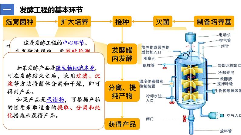 1.3发酵工程及其应用  课件人教版高中生物选修三ppt06