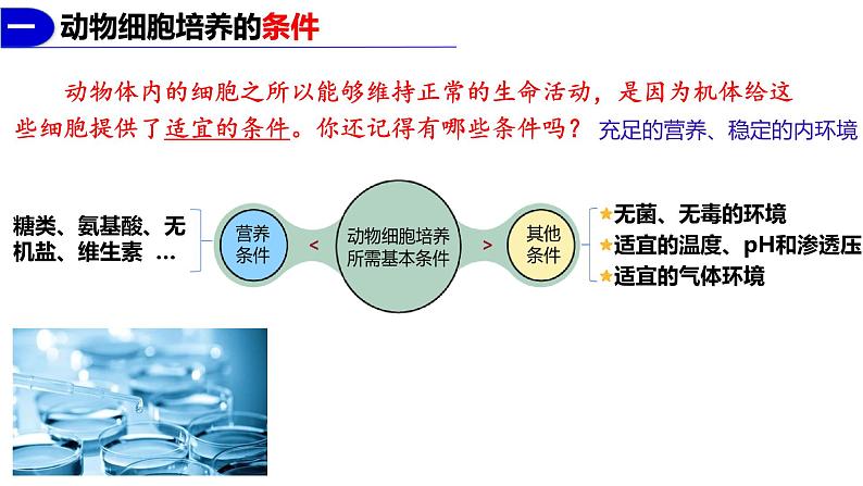 2.2.1动物细胞培养  课件人教版高中生物选修三ppt07