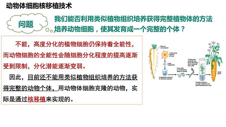 2.2.3动物体细胞核移植技术和克隆动物  课件人教版高中生物选修三ppt05