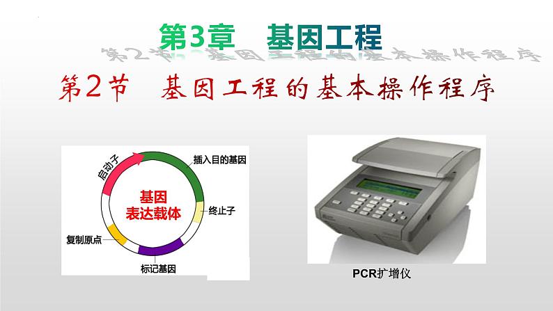 3.2基因工程的基本操作程序(1)  课件人教版高中生物选修三ppt01