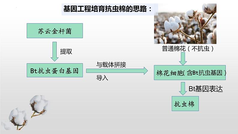 3.2基因工程的基本操作程序(1)  课件人教版高中生物选修三ppt04