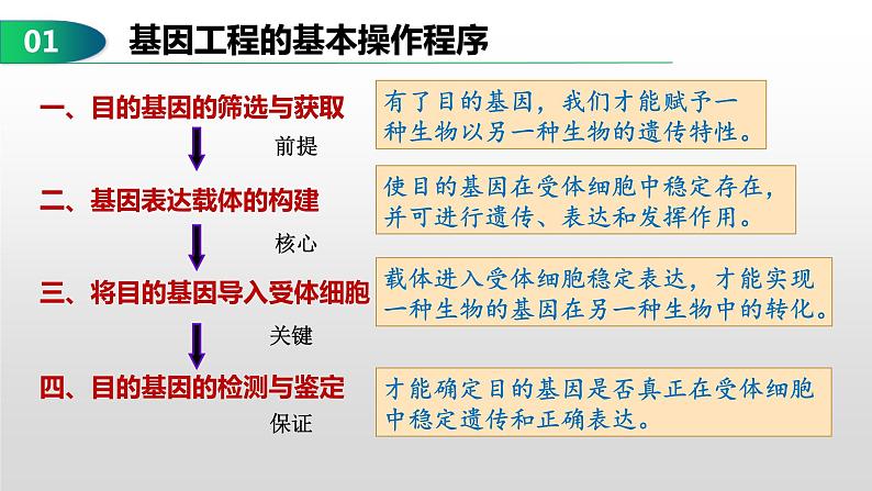 3.2基因工程的基本操作程序(1)  课件人教版高中生物选修三ppt05