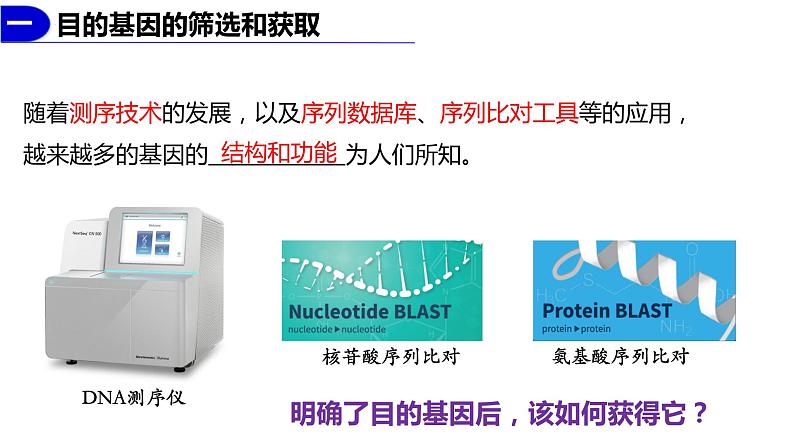 3.2基因工程的基本操作程序(1)  课件人教版高中生物选修三ppt08