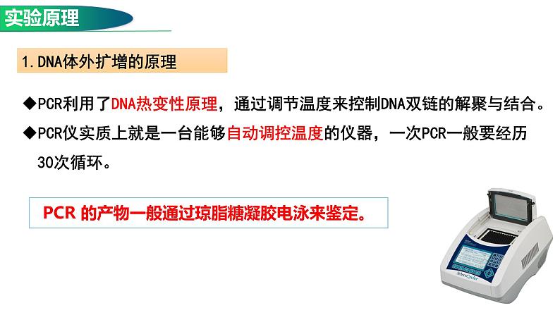 3.2基因工程的基本操作程序(2)  课件人教版高中生物选修三ppt第2页