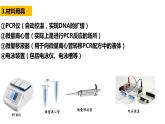 3.2基因工程的基本操作程序(2)  课件人教版高中生物选修三ppt