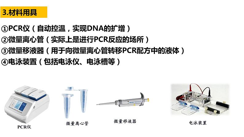 3.2基因工程的基本操作程序(2)  课件人教版高中生物选修三ppt第4页