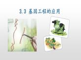 3.3基因工程的应用  课件人教版高中生物选修三ppt