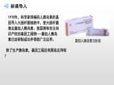 3.3基因工程的应用  课件人教版高中生物选修三ppt