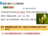 3.3基因工程的应用  课件人教版高中生物选修三ppt