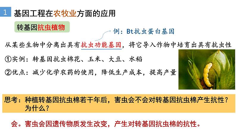 3.3基因工程的应用  课件人教版高中生物选修三ppt05