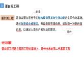 3.4蛋白质工程的原理和应用  课件人教版高中生物选修三ppt