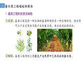 3.4蛋白质工程的原理和应用  课件人教版高中生物选修三ppt