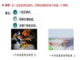 1.1种群的数量特征  课件人教版高中生物选修二ppt