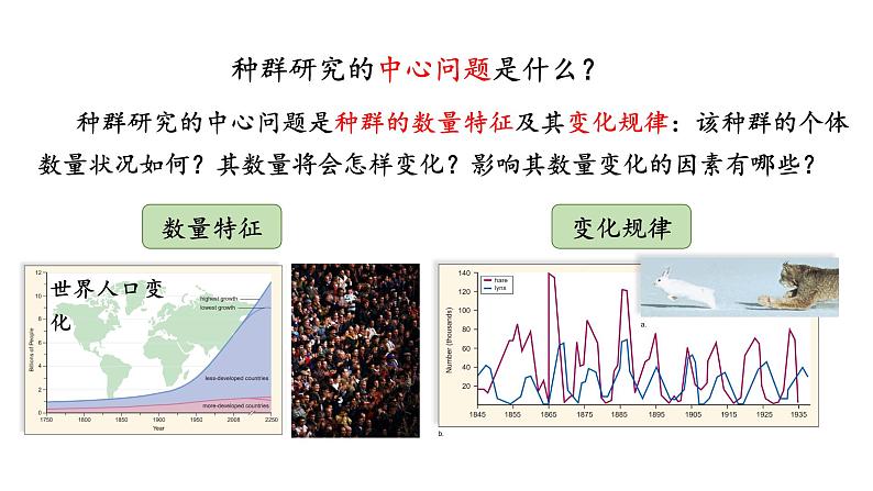 1.1种群的数量特征  课件人教版高中生物选修二ppt第6页