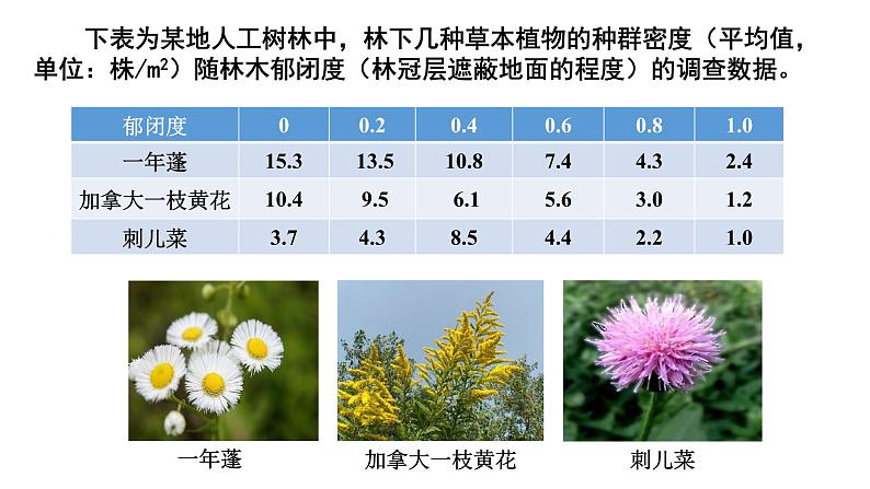 1.3 影响种群数量变化的因素  课件人教版高中生物选修二ppt第6页