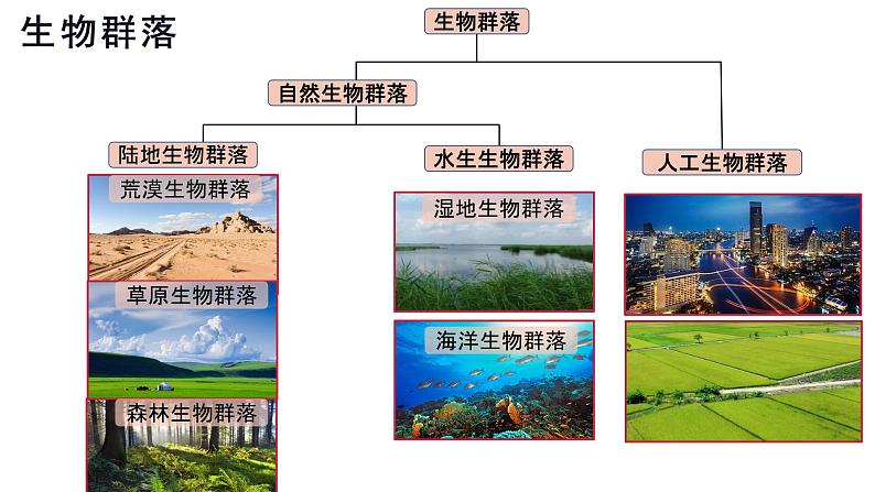 2.2 群落的主要类型  课件人教版高中生物选修二ppt04