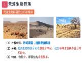 2.2 群落的主要类型  课件人教版高中生物选修二ppt