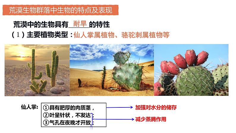 2.2 群落的主要类型  课件人教版高中生物选修二ppt06