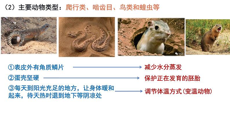 2.2 群落的主要类型  课件人教版高中生物选修二ppt08