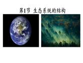 3.1生态系统的结构  课件人教版高中生物选修二ppt