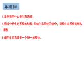 3.1生态系统的结构  课件人教版高中生物选修二ppt