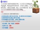 3.1生态系统的结构  课件人教版高中生物选修二ppt