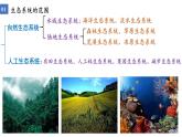 3.1生态系统的结构  课件人教版高中生物选修二ppt