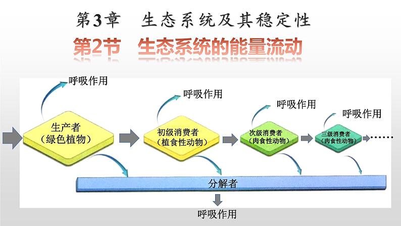 3.2生态系统的能量流动  课件人教版高中生物选修二ppt第1页