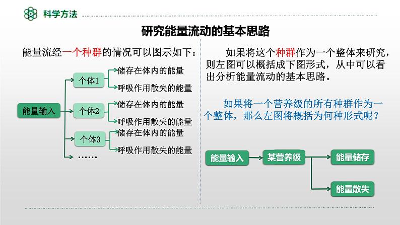 3.2生态系统的能量流动  课件人教版高中生物选修二ppt第6页