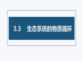 3.3生态系统的物质循环  课件人教版高中生物选修二ppt