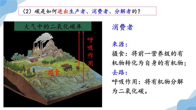 3.3生态系统的物质循环  课件人教版高中生物选修二ppt07