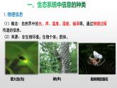 3.4生态系统的信息传递  课件人教版高中生物选修二ppt