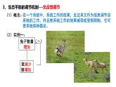 3.5生态系统的稳定性  课件人教版高中生物选修二ppt