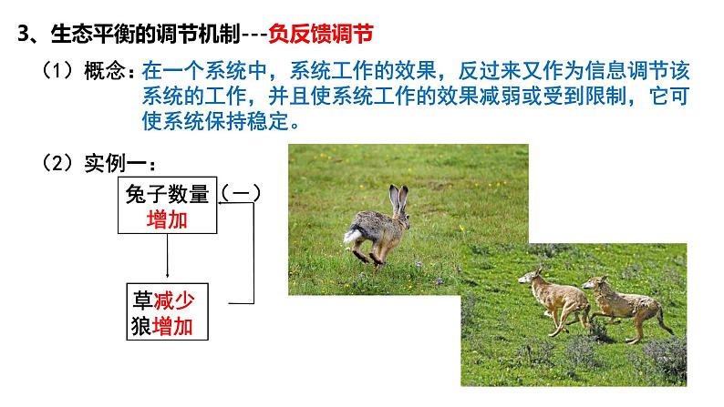 3.5生态系统的稳定性  课件人教版高中生物选修二ppt04