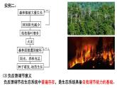 3.5生态系统的稳定性  课件人教版高中生物选修二ppt