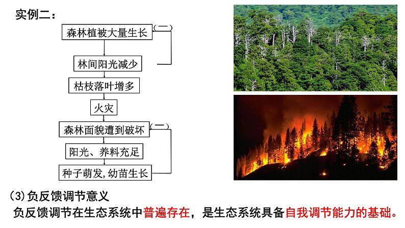 3.5生态系统的稳定性  课件人教版高中生物选修二ppt05