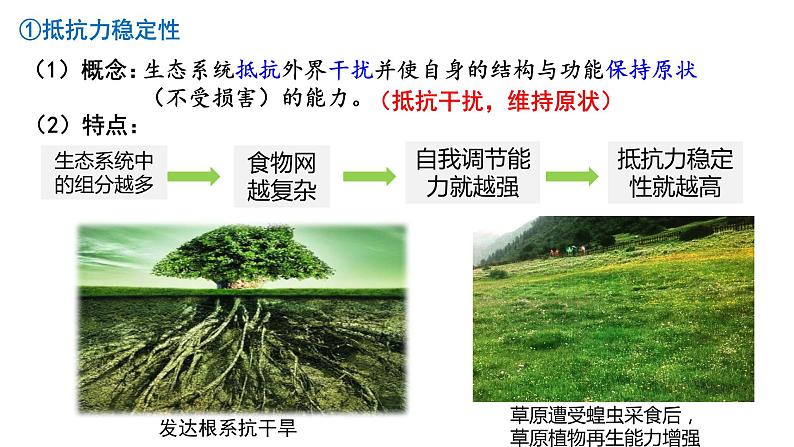 3.5生态系统的稳定性  课件人教版高中生物选修二ppt07