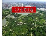 4.3生态工程  课件人教版高中生物选修二ppt