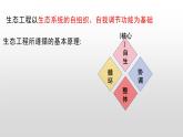 4.3生态工程  课件人教版高中生物选修二ppt