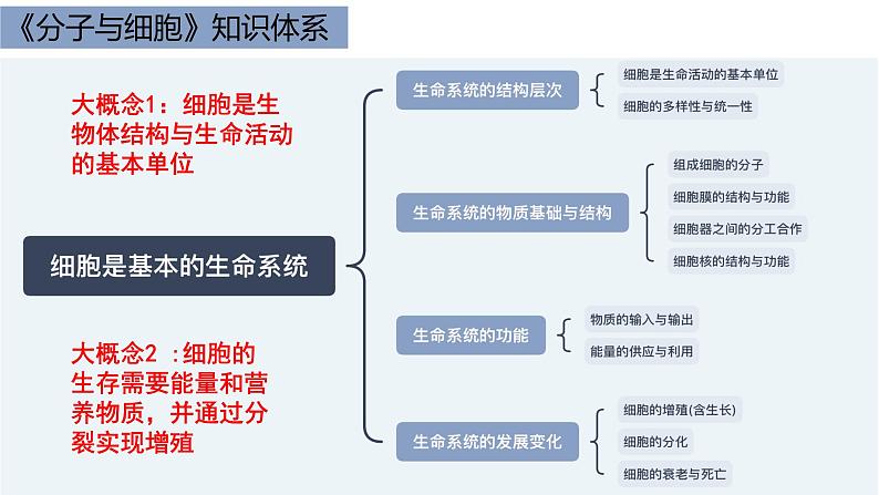 1.1细胞是生命活动的基本单位 课件高中人教版生物必修一第2页