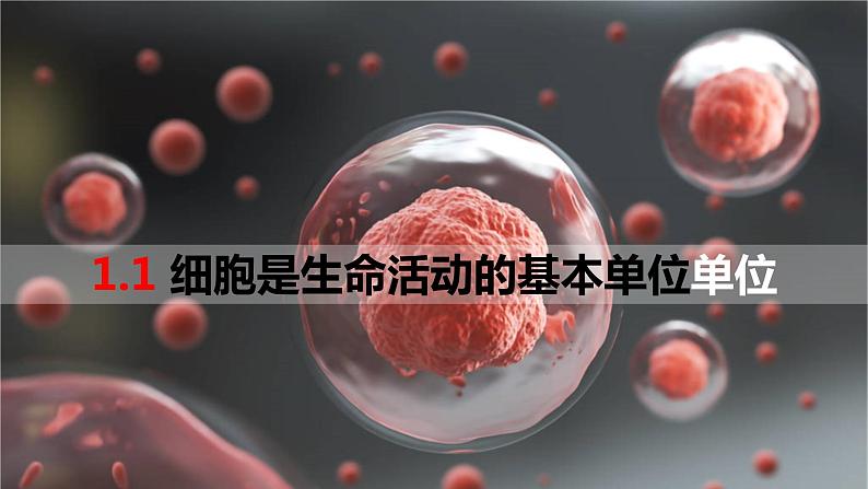 1.1细胞是生命活动的基本单位 课件高中人教版生物必修一第3页