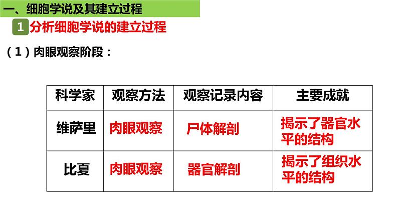 1.1细胞是生命活动的基本单位 课件高中人教版生物必修一第8页