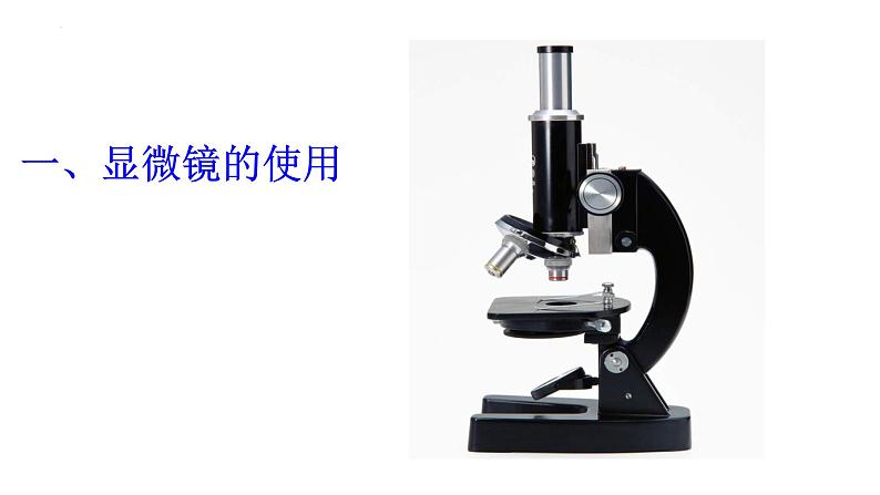 1.2细胞的多样性和统一性 课件高中人教版生物必修一第4页