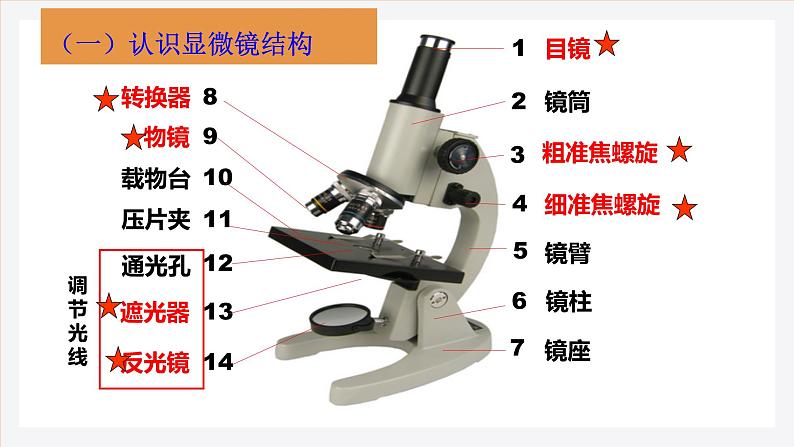 1.2细胞的多样性和统一性 课件高中人教版生物必修一第5页