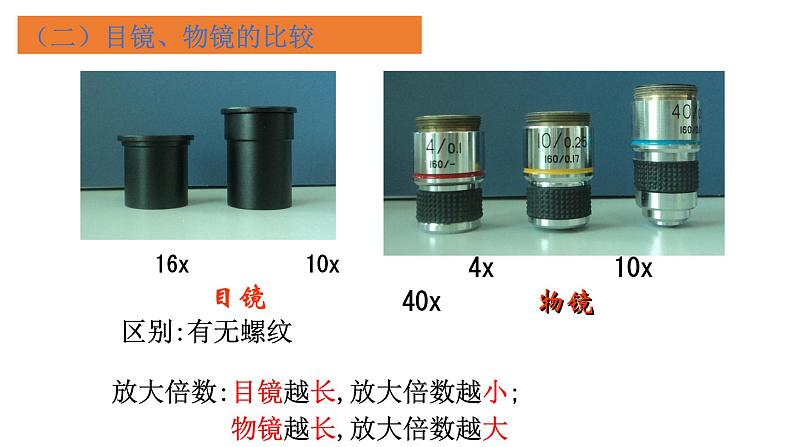 1.2细胞的多样性和统一性 课件高中人教版生物必修一第6页