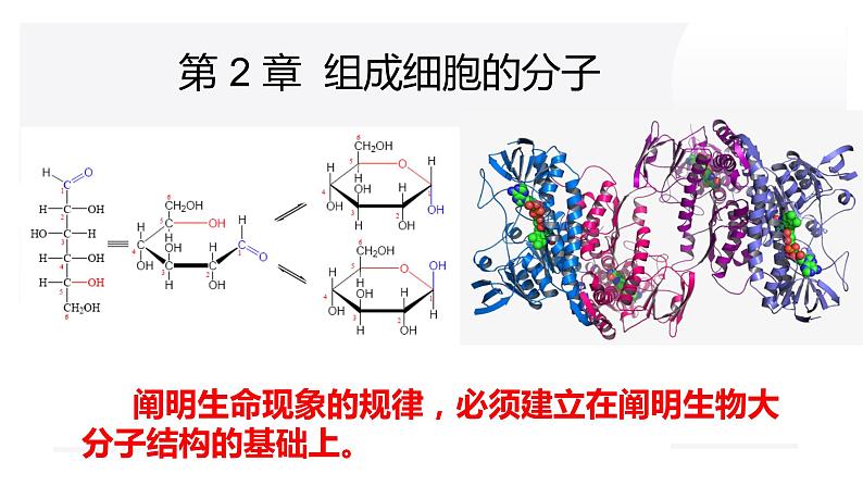 2.1细胞中的元素和化合物 课件高中人教版生物必修一第1页